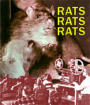 rats-rats-rats-DVD
