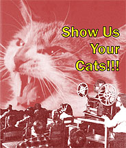 show-us-your-cats-DVD
