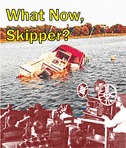 what-now-skipper-DVD