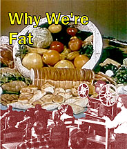 why-were-fat-DVD