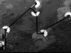 Hzcw-5IMe08.jpg
