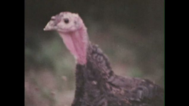 9vt2nVoxIUs.jpg