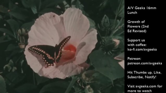 n0T-2vY0vew.jpg
