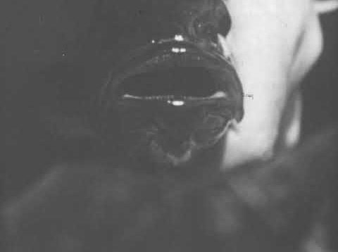 IajFa7I6sp8.jpg