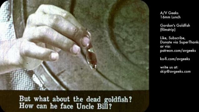 nNpq92DxtV8.jpg